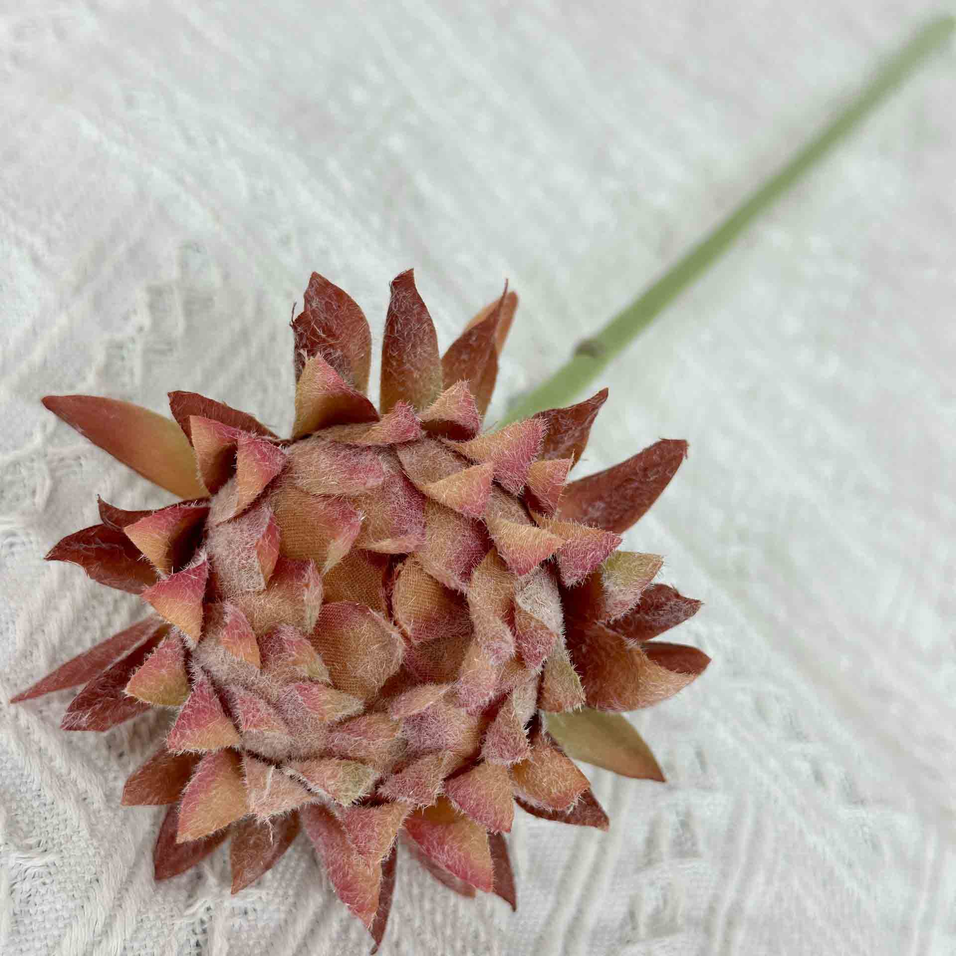 Artificial Thistle flower Color:Light Brown