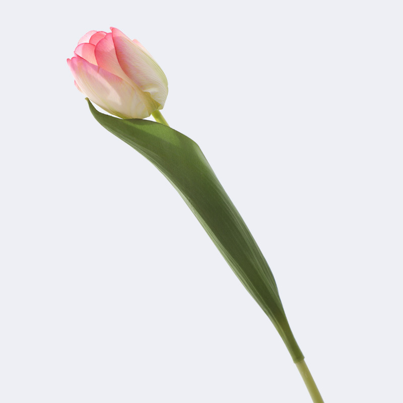 Feel moisturizing tulip artificial flower Color:Pink Greenish