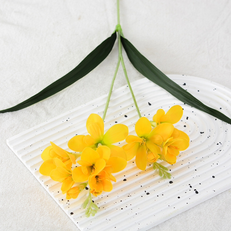 Dendrobium  cymbidium orchid flower Color:Yellow