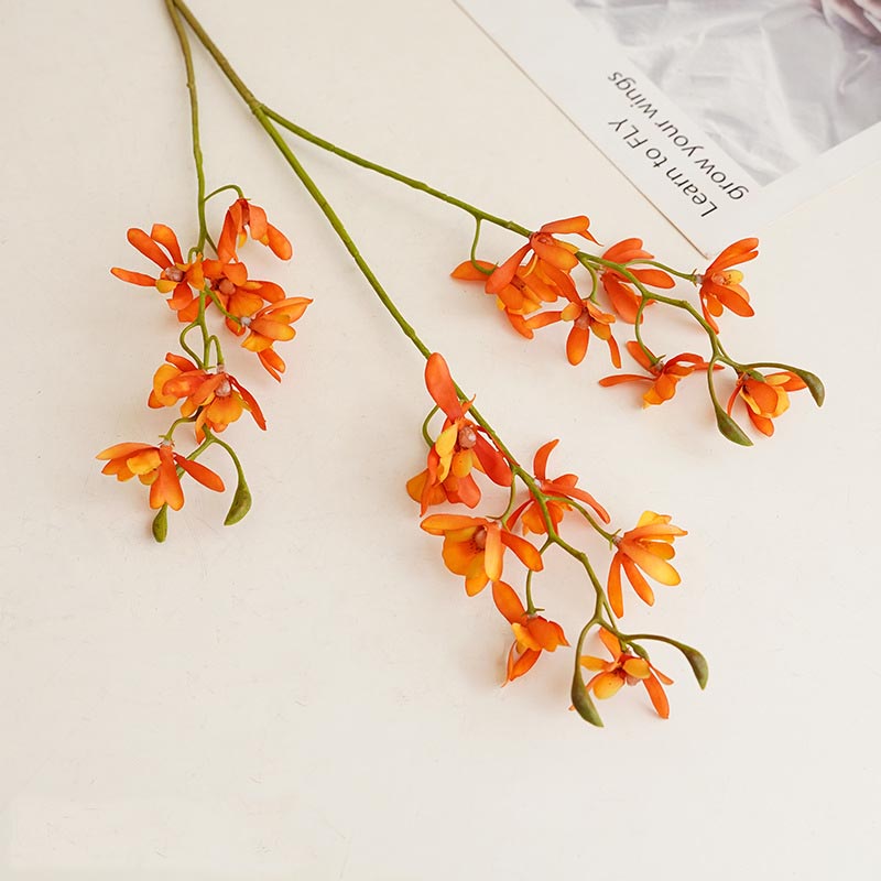 3-pronged Papilionopsis four-season Orchid small Cymbidium Orange