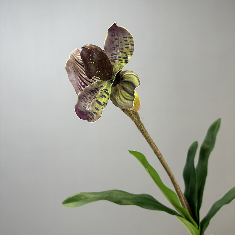 PVC Paphiopedilum Lady's Purse Orchid artificial flower bouquet 2 heads with leaves Purple-Green