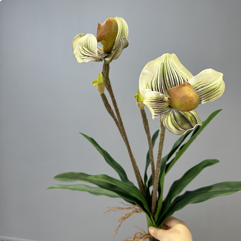 PVC Paphiopedilum Lady's Purse Orchid artificial flower bouquet 2 heads with leaves Green