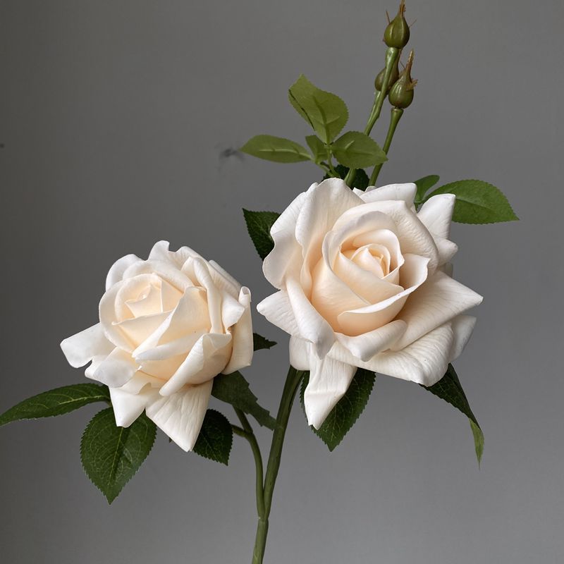 Artificial flower feel moisturizing curled-edge rose fake flower Color:Champagne