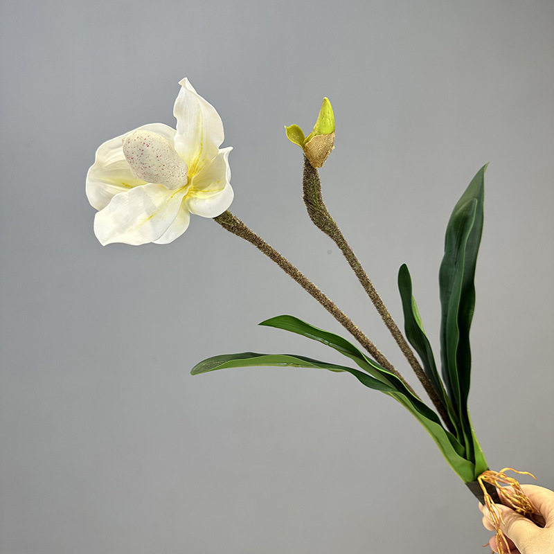 PVC Paphiopedilum Lady's Purse Orchid artificial flower bouquet 2 heads with leaves Color:White