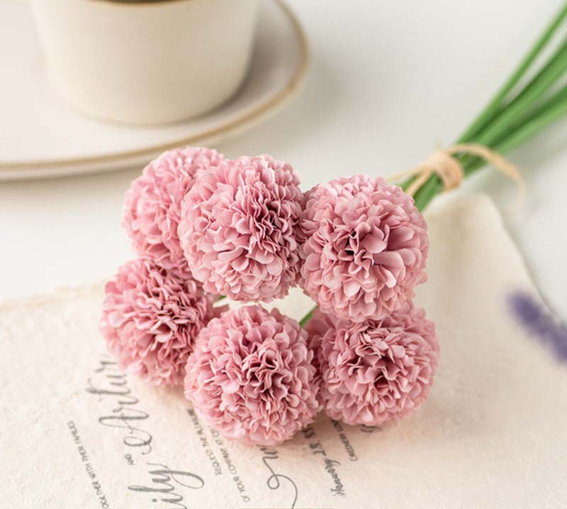 Table tennis chrysanthemum onion ball thorn ball Pink