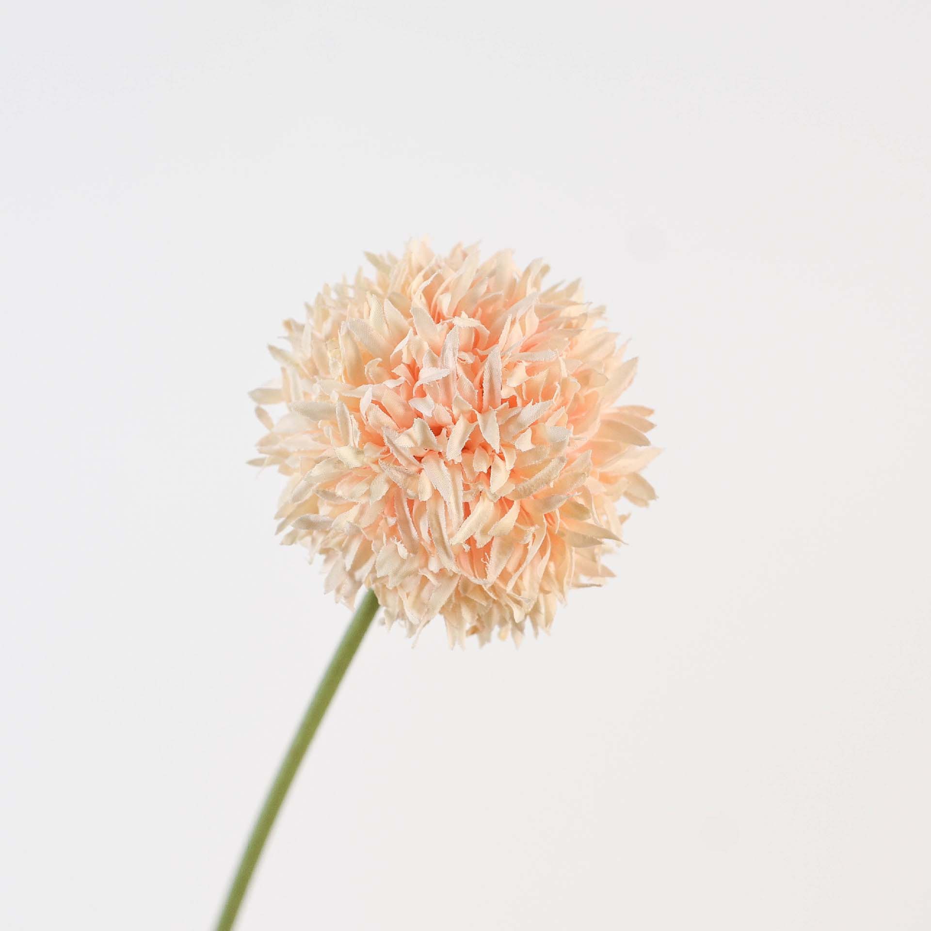 Single brushed ball chrysanthemum artificial flower fake flower Color:Champagne