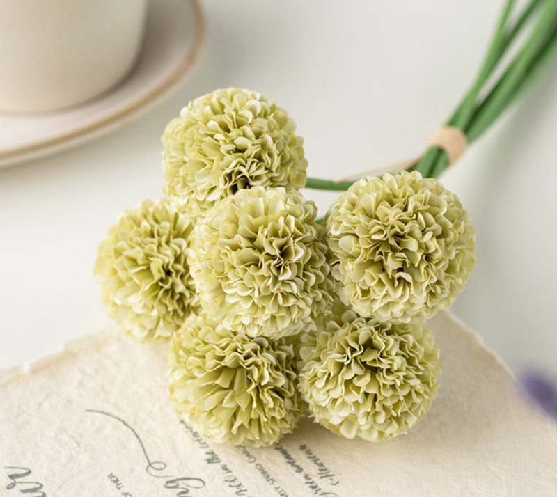 Table tennis chrysanthemum onion ball thorn ball Color:Green