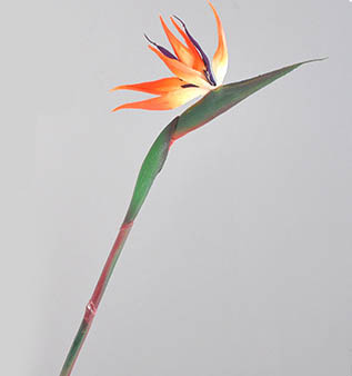 Bird of paradise artificial flower large single branch Strelitzia reginae fake flower Orange