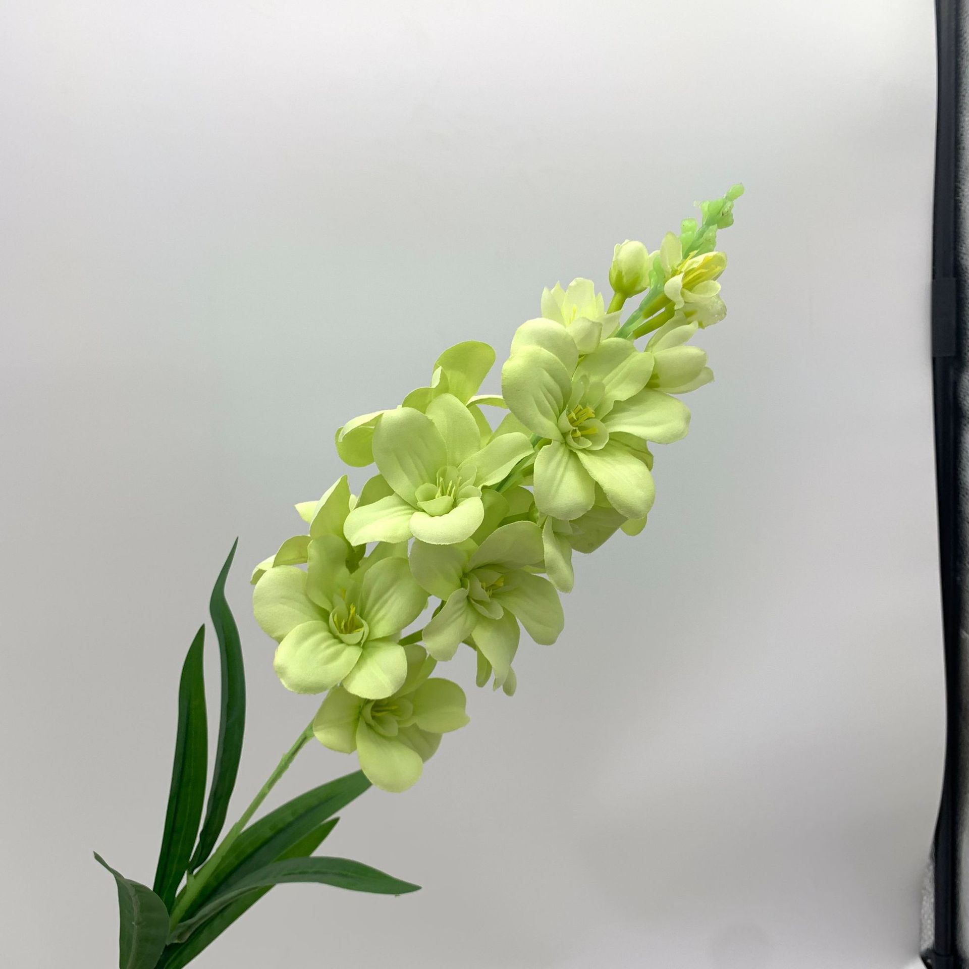 Night-Blooming Jasmine artificial flower fake flower tuberose Color:Green