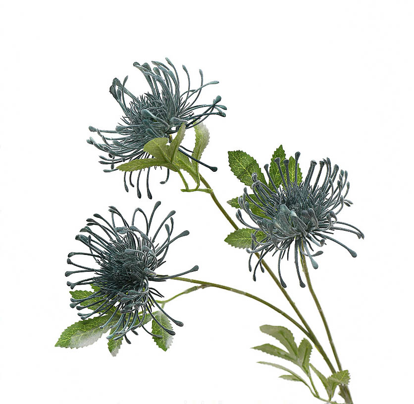 Pincushion flower artificial flower crab claw chrysanthemum Blue