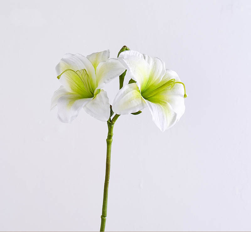 Nordic artificial flower Hemerocallis grandiflora Color:Green White