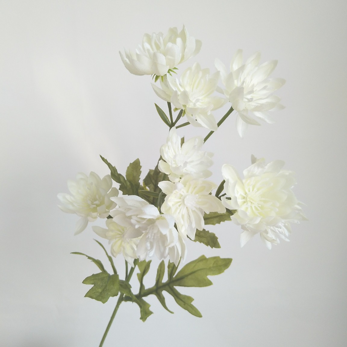 artificial flowers Marigold  Rudbeckia White