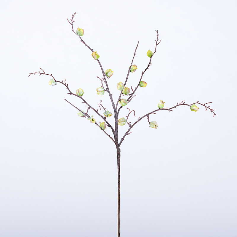 Frosted dried flowers with dead branches in winter Green