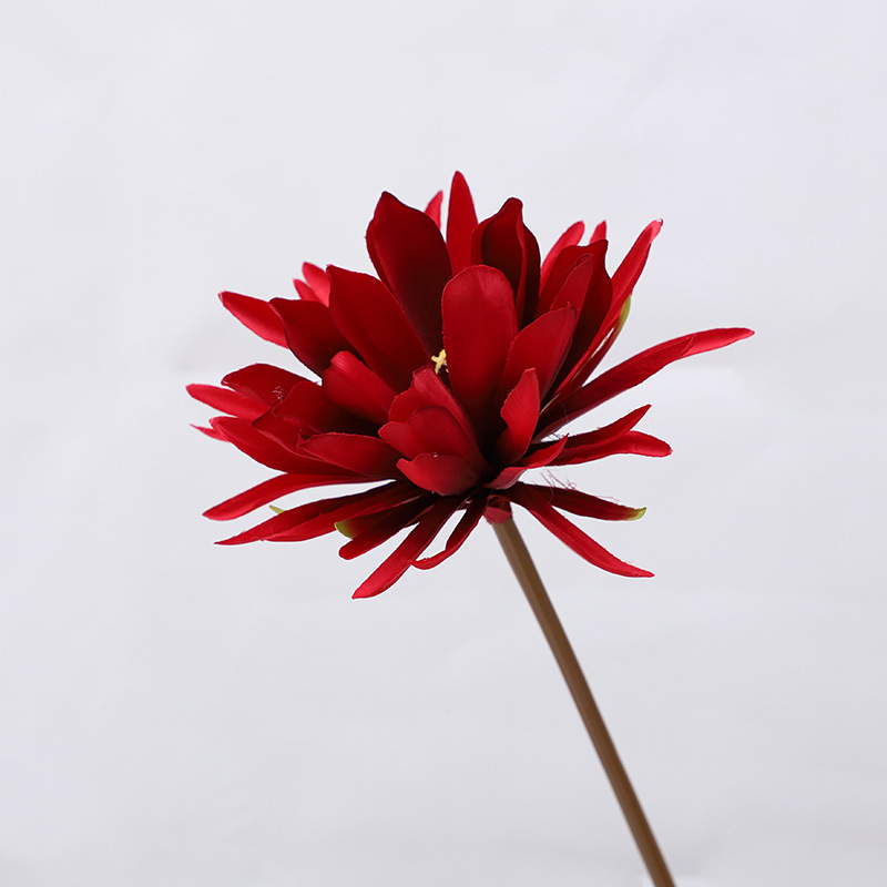 Long-branch Epiphyllum artificial flowers ation fake flowers Color:Red