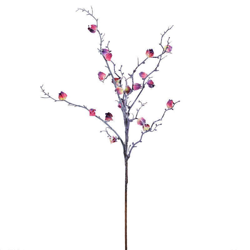 Frosted dried flowers with dead branches in winter Frosted Fuchsia with Green