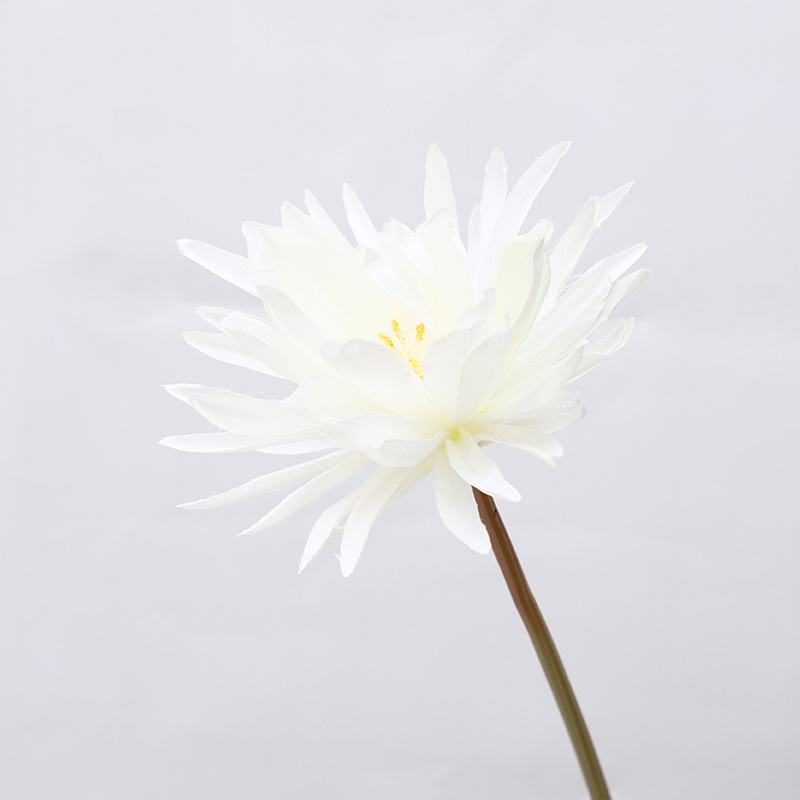 Long-branch Epiphyllum artificial flowers ation fake flowers Color:White