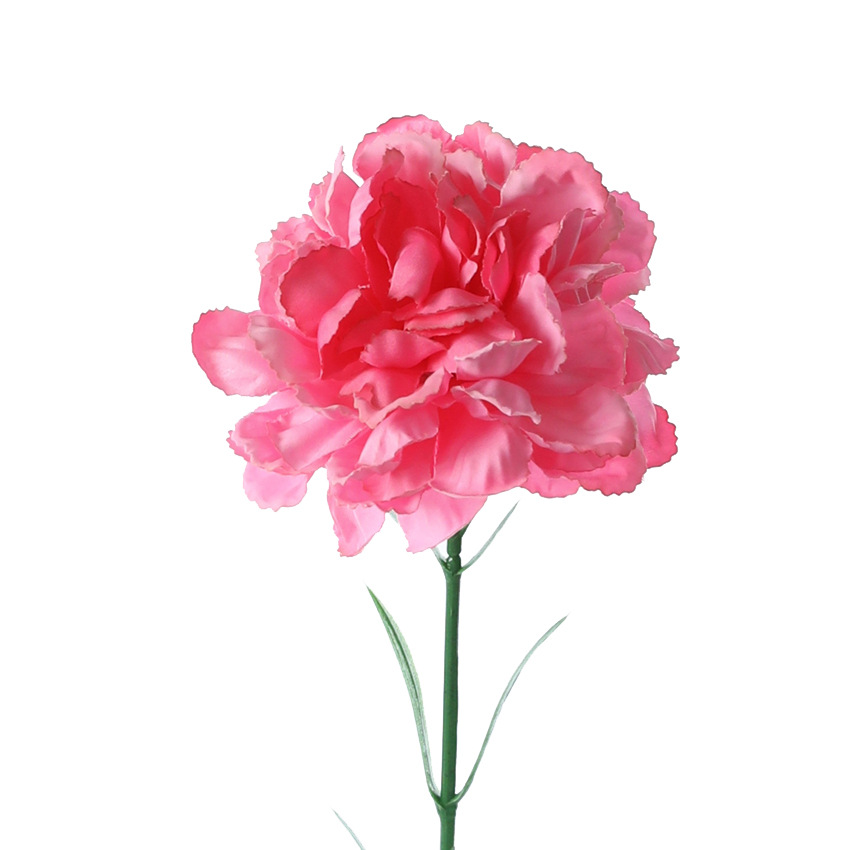 Silk artificial flower carnation Color:Dark Pink