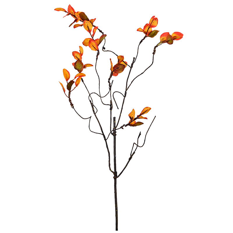 ild berry with leaf vine small leaf branches with twining vine flower arrangement Orange