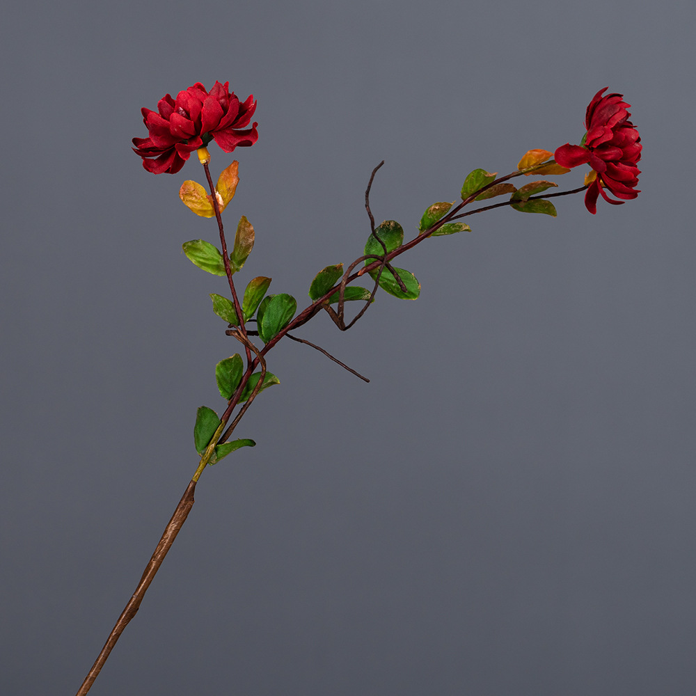 Korean twig wild chrysanthemum artificial flower small daisy Red