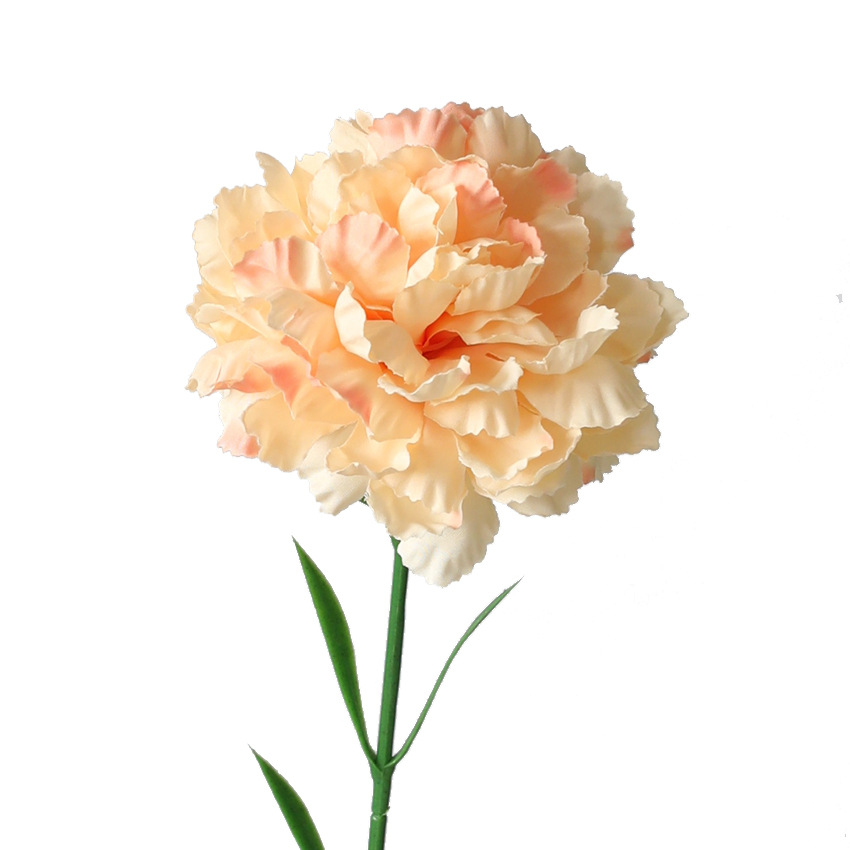 Silk artificial flower carnation Champagne