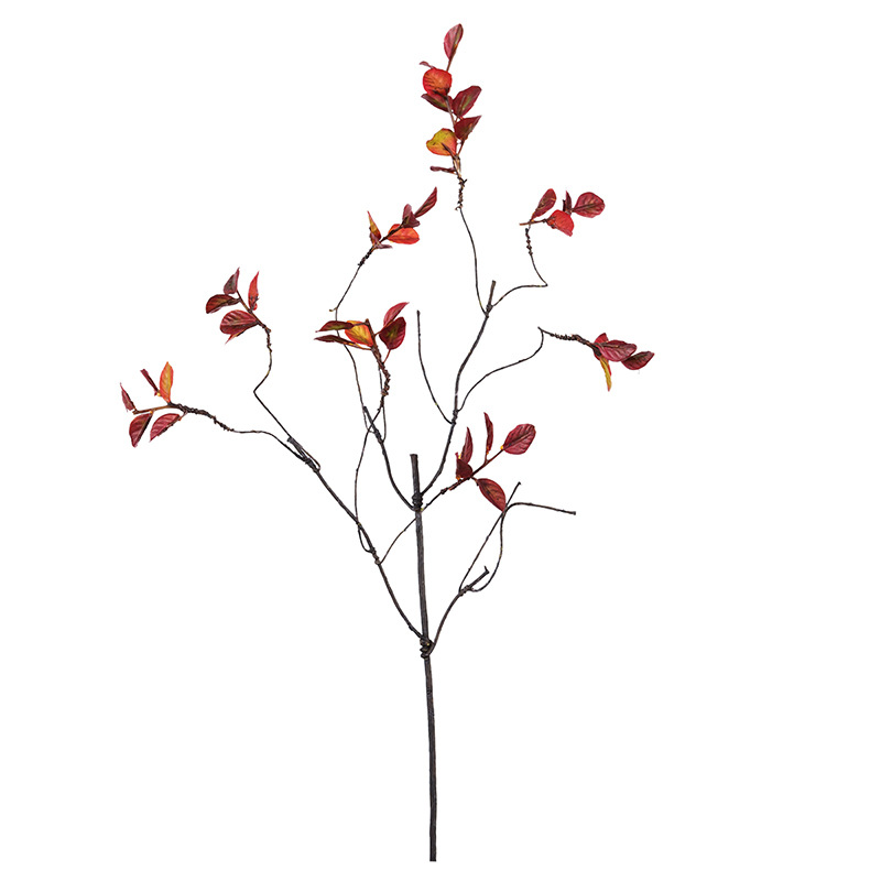 ild berry with leaf vine small leaf branches with twining vine flower arrangement Red