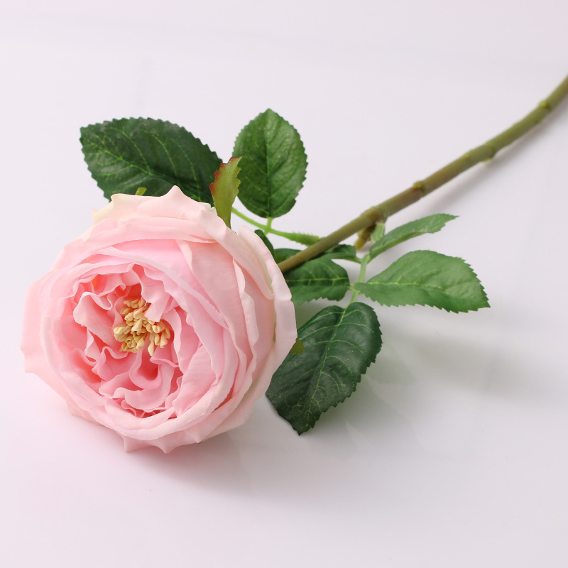 Simulated single-headed Austin rose bouquet, single hand-feeling moisturizing peony rose, artificial European rose flower Pink