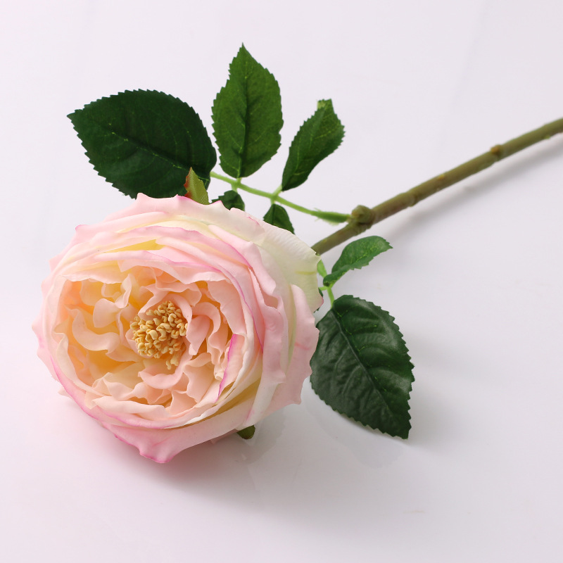 Simulated single-headed Austin rose bouquet, single hand-feeling moisturizing peony rose, artificial European rose flower Color:Peachy Beige