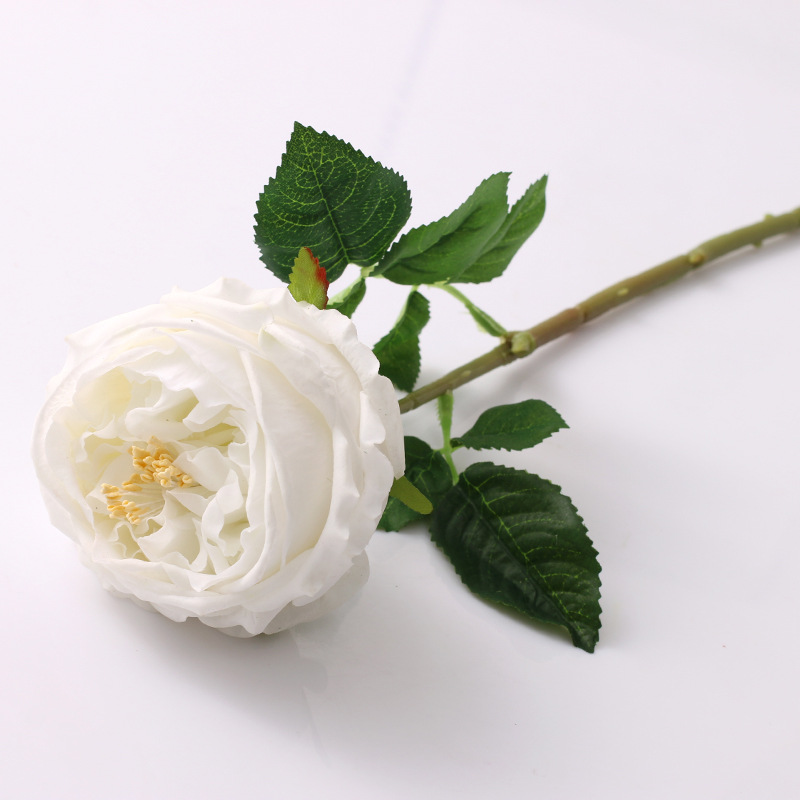 Simulated single-headed Austin rose bouquet, single hand-feeling moisturizing peony rose, artificial European rose flower Color:White