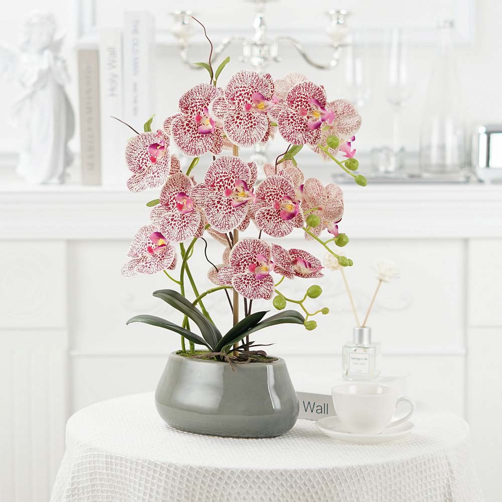 Phalaenopsis artificial flower potted ornaments Phalaenopsis silk flower bonsai Phalaenopsis artificial flowers living room coffe table  Coral