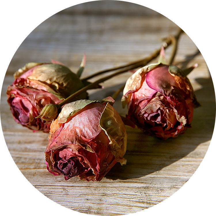 Retro dried rose flowers, three-headed autumn rose fake flowers, living room  ornaments, home arrangement floral art Fuchsia